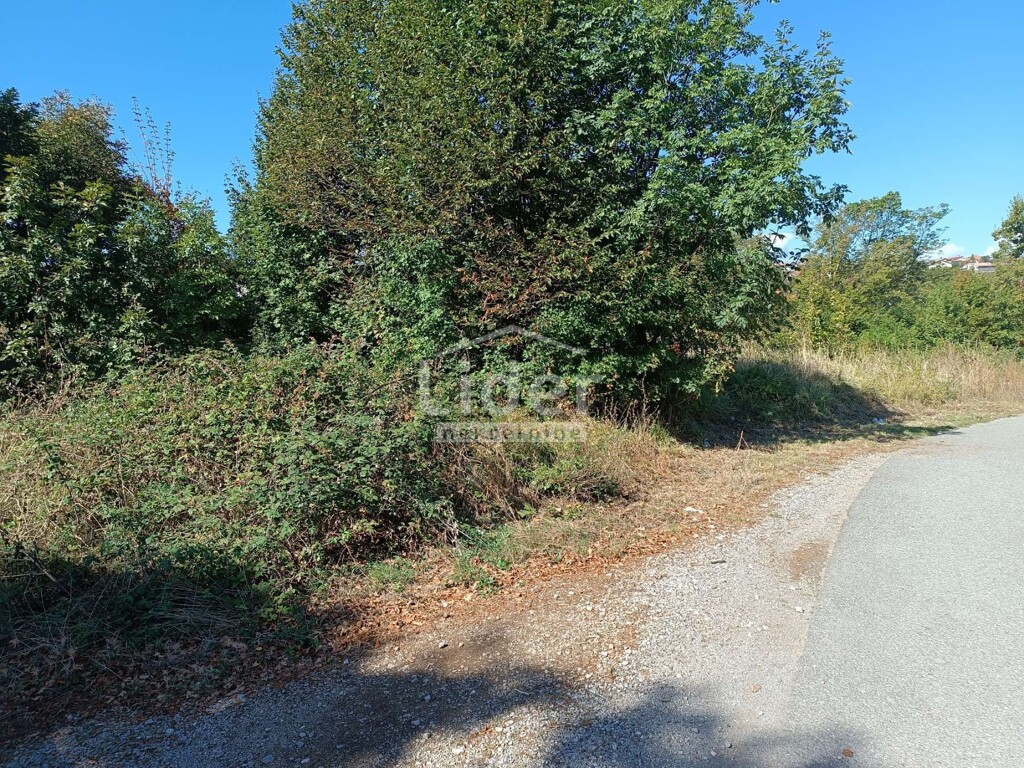 Image 6095522 - 5