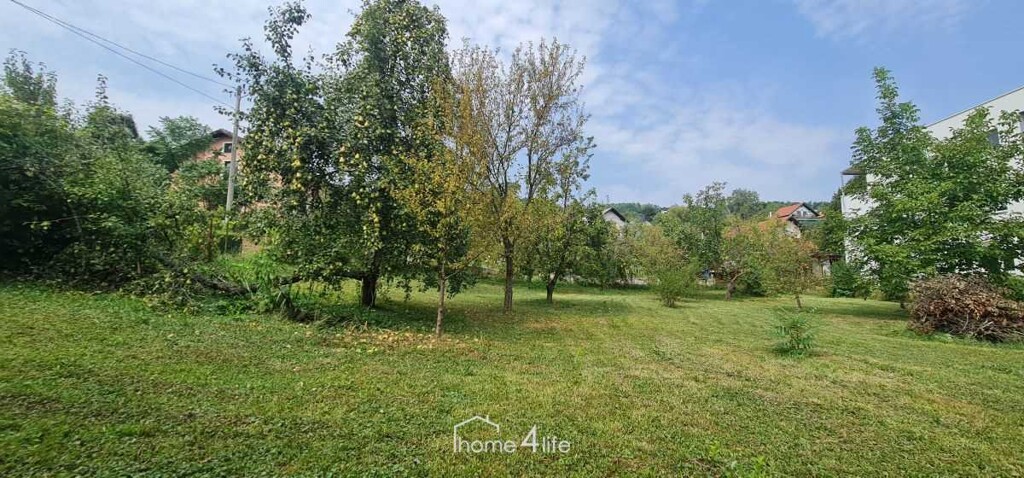 Image 6095600 - 2