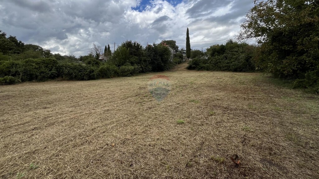 Image 6095693 - 3