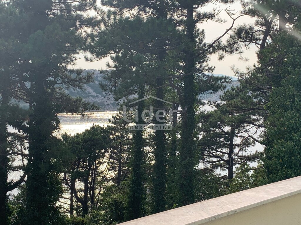 Image 6099944 - 17