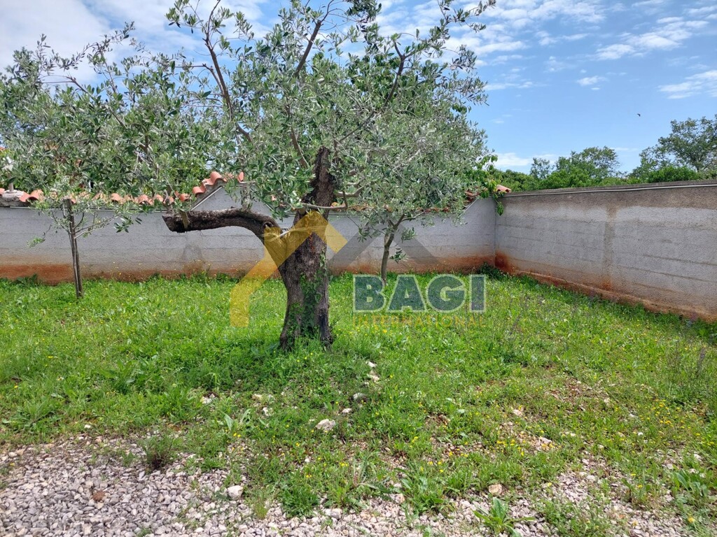 Image 6099956 - 3