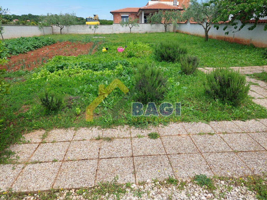 Image 6099956 - 2