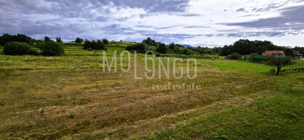 Image 6100074 - 2