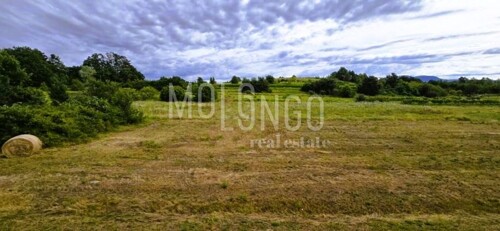 Thumbnail 6100074 - 1