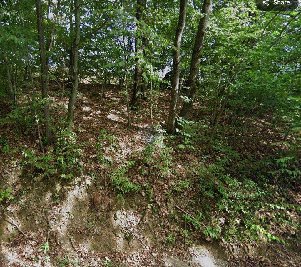 Image 6100296 - 4