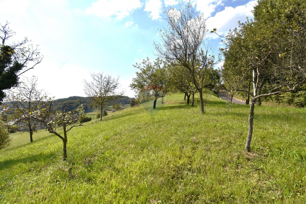 Image 6100298 - 4