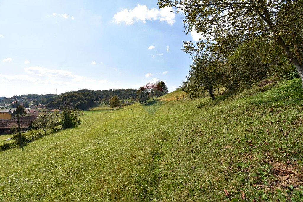 Image 6100298 - 5