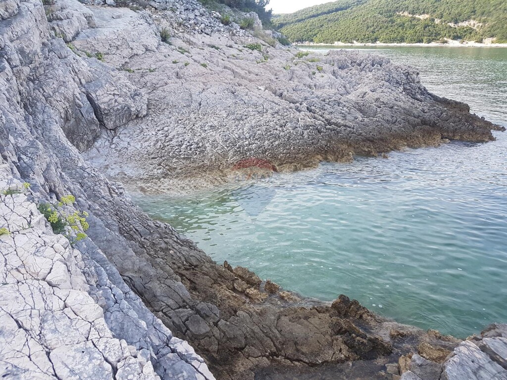 Image 6100299 - 1
