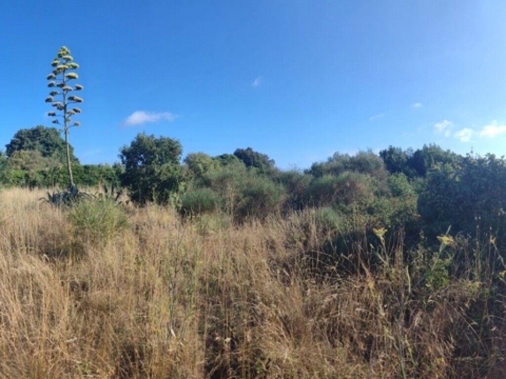 Image 6100322 - 4
