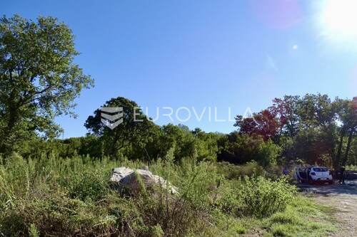 Thumbnail 6100675 - 2