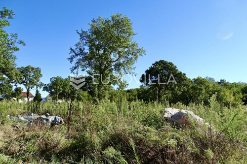 Thumbnail 6100675 - 9