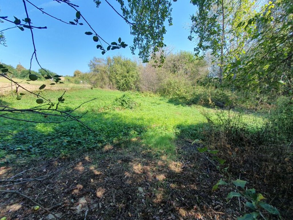 Image 6100691 - 9