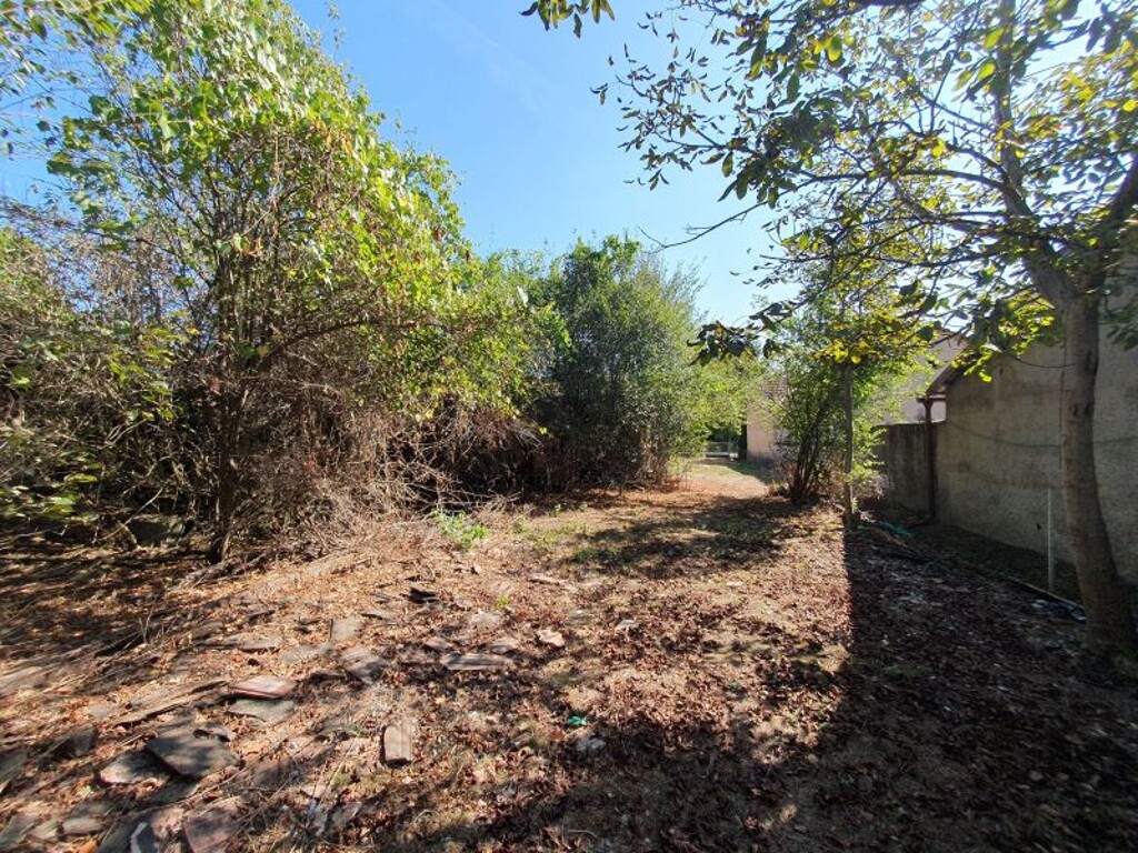Image 6100692 - 4