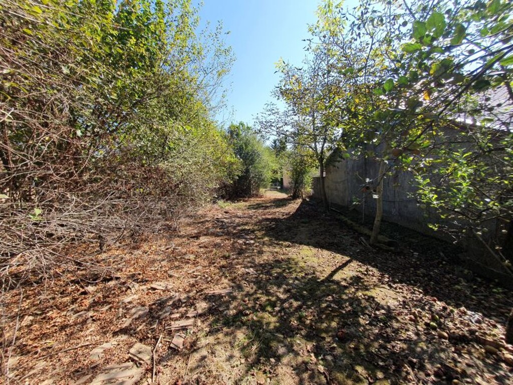 Image 6100692 - 6