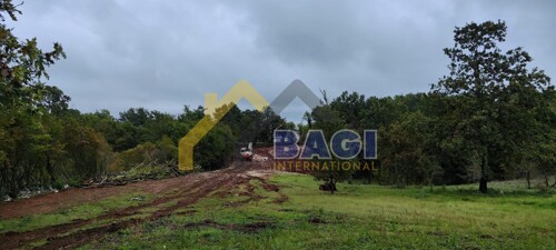 Thumbnail 6100712 - 3