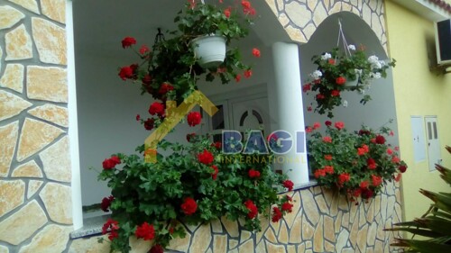 Thumbnail 6100716 - 12