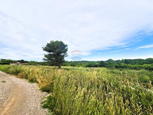 Thumbnail 6100836 - 1