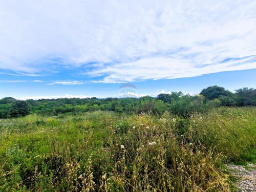 Thumbnail 6100836 - 2