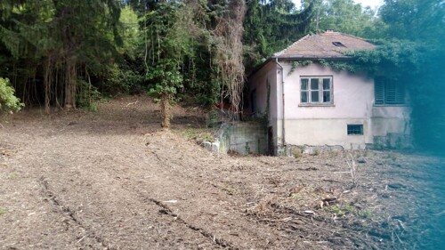 Thumbnail 6100840 - 5