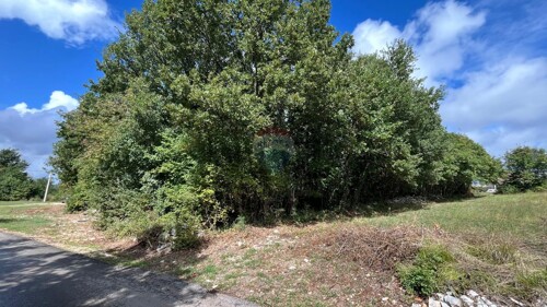 Thumbnail 6100847 - 1