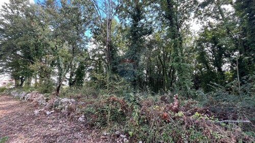 Thumbnail 6100847 - 4