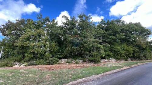Thumbnail 6100847 - 2