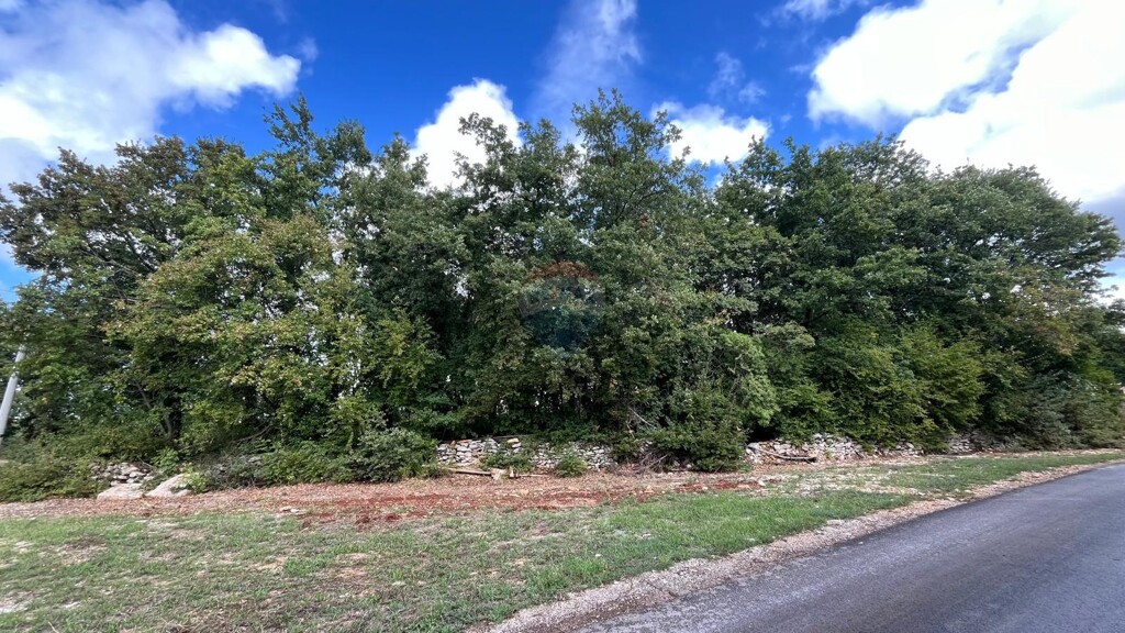 Image 6100847 - 2