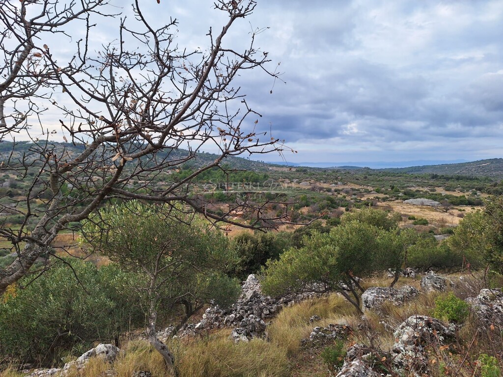 Image 6100865 - 1