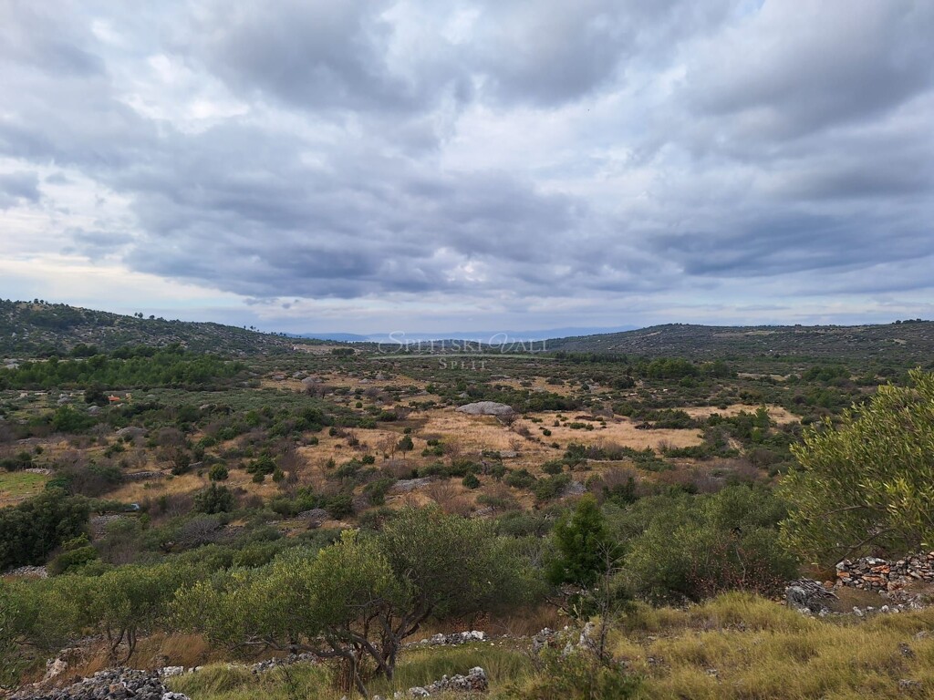 Image 6100865 - 2
