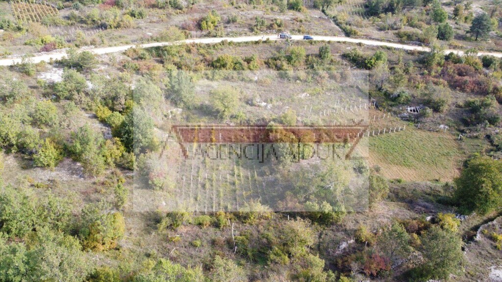 Image 6100885 - 4