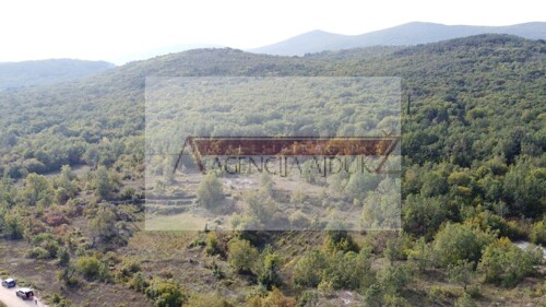 Thumbnail 6100885 - 3