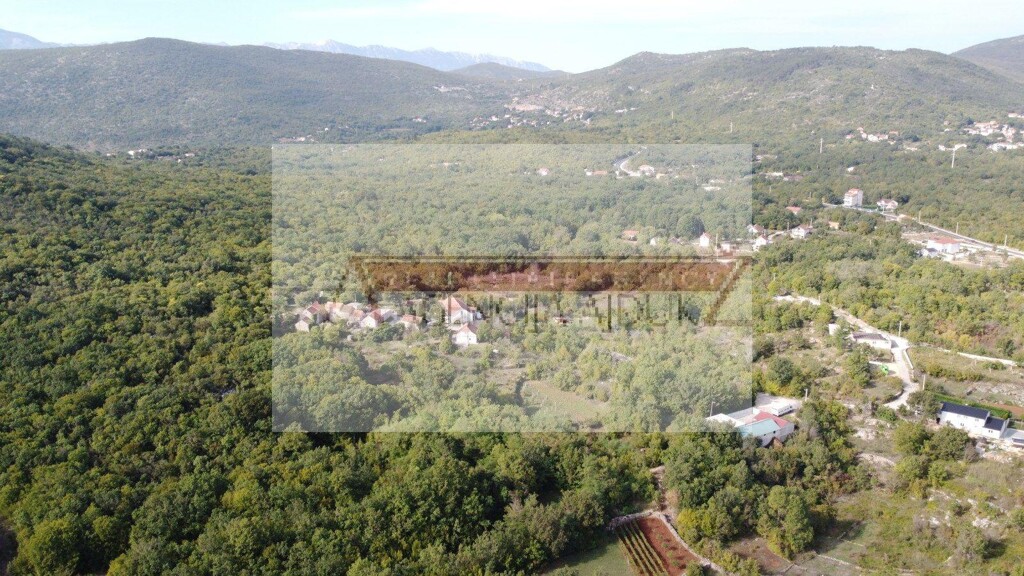 Image 6100885 - 6
