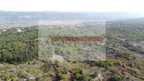 Thumbnail 6100885 - 5