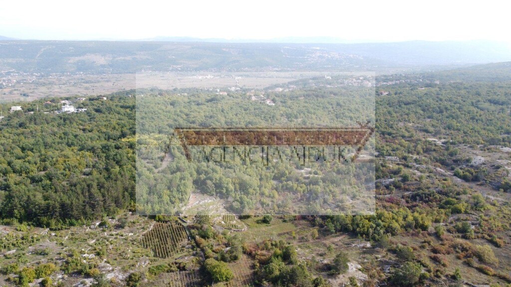 Image 6100885 - 5