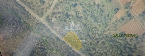 Thumbnail 6101253 - 2