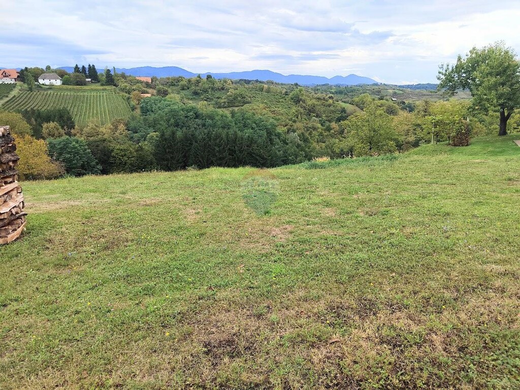 Image 6101446 - 5