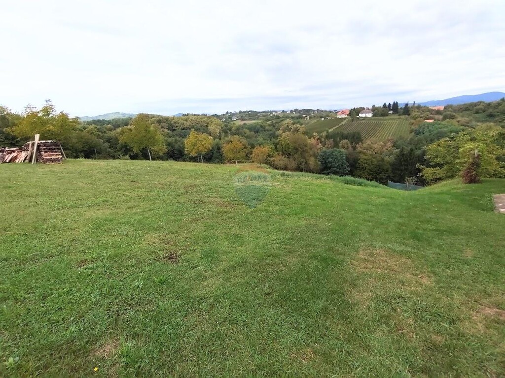Image 6101446 - 1