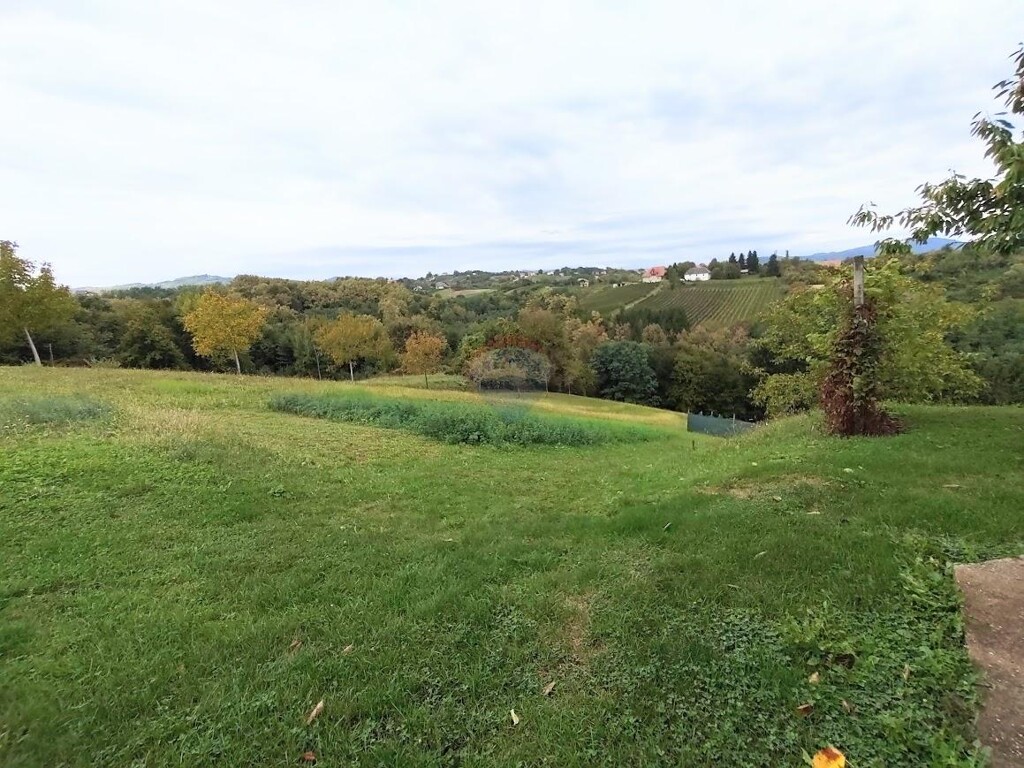 Image 6101446 - 2