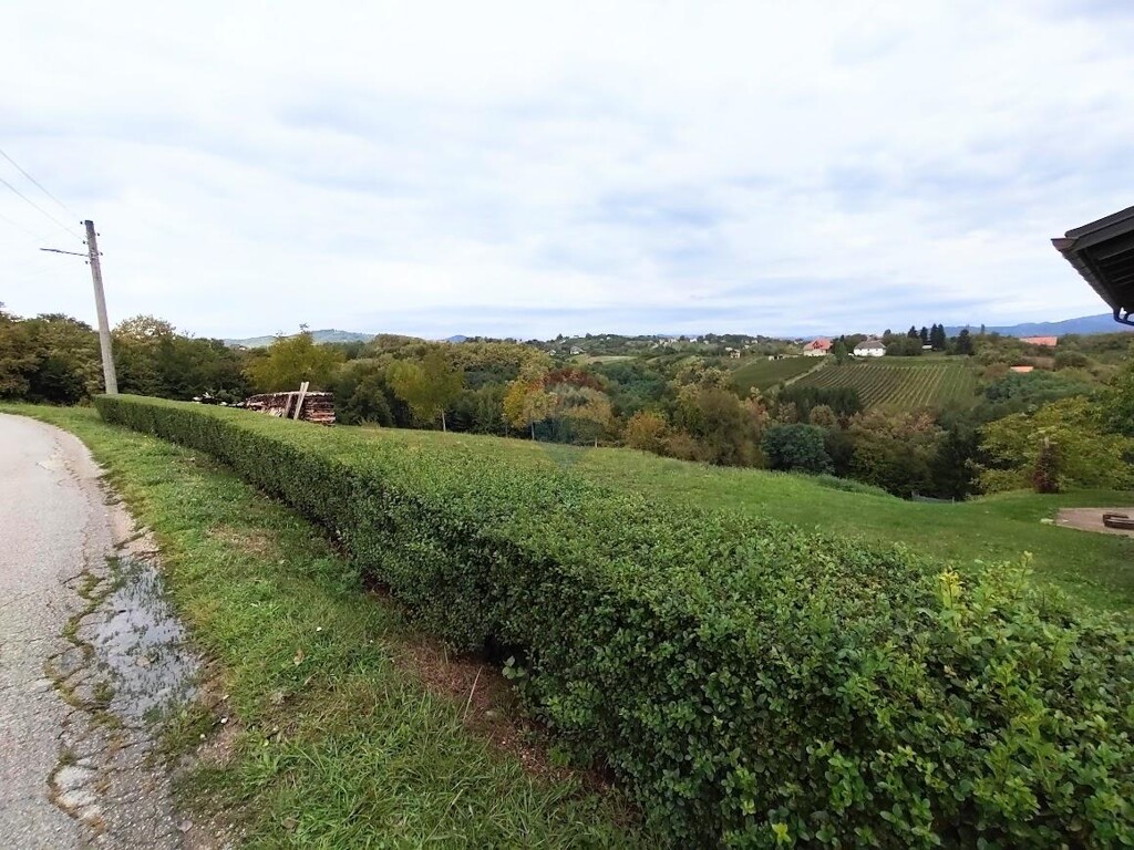 Image 6101446 - 3