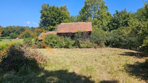 Thumbnail 6101499 - 4