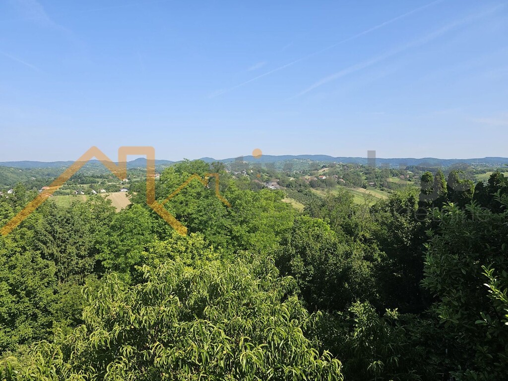 Image 6101500 - 19