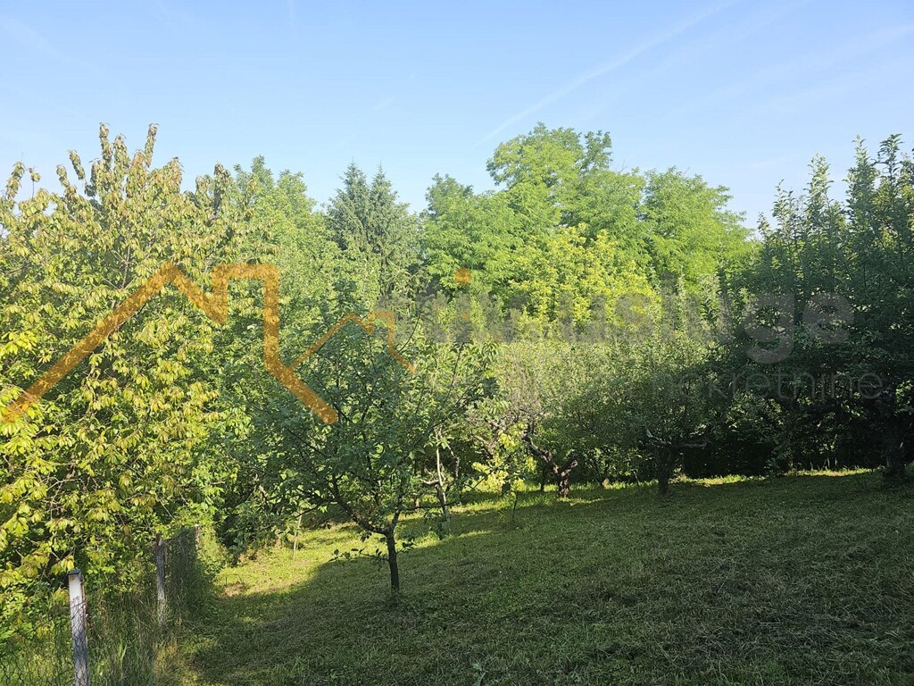 Image 6101500 - 20