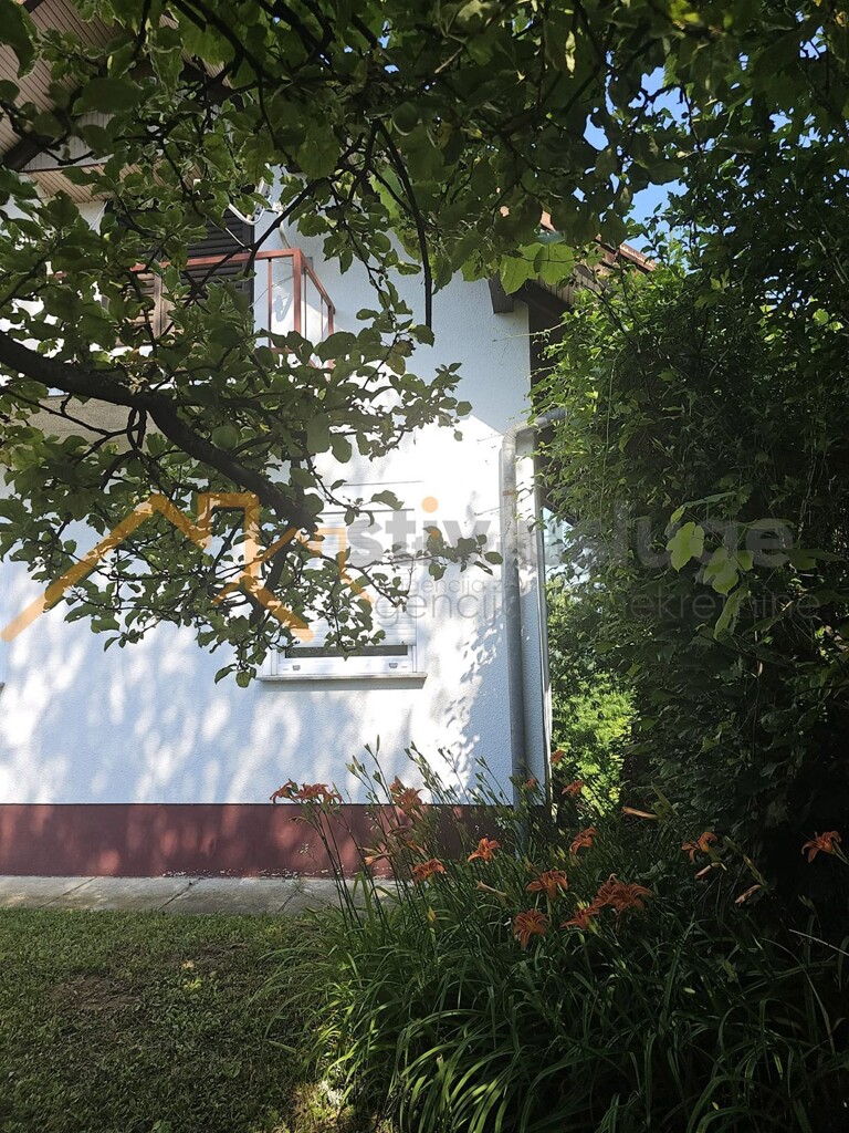 Image 6101500 - 3