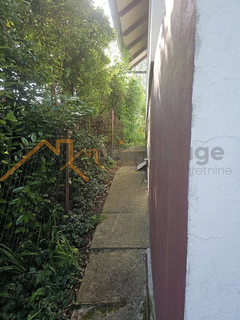 Image 6101500 - 4