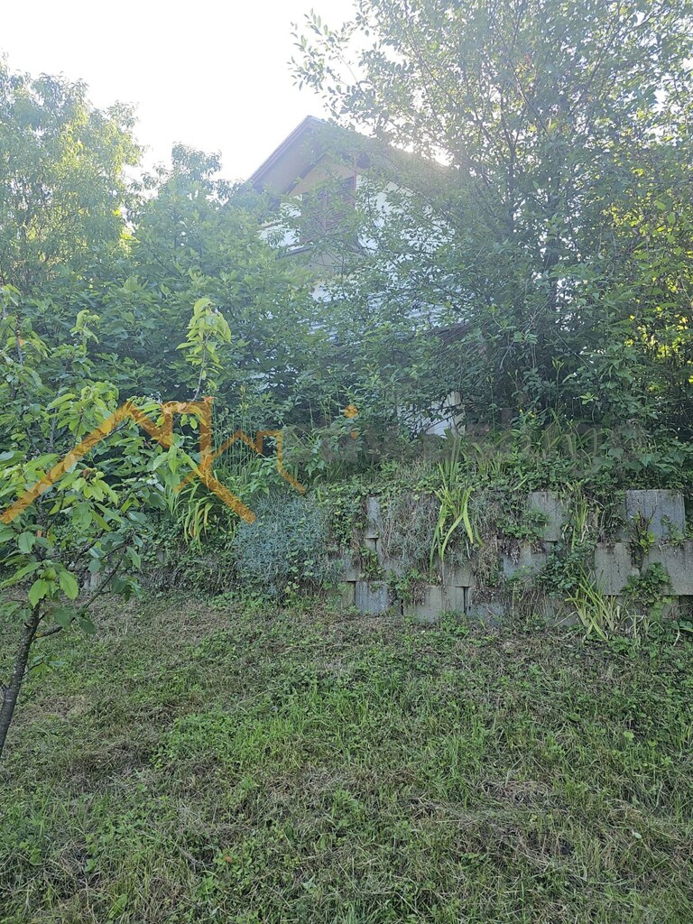 Image 6101500 - 2