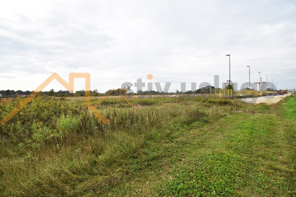 Image 6101502 - 3