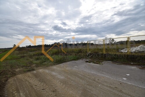 Thumbnail 6101502 - 1