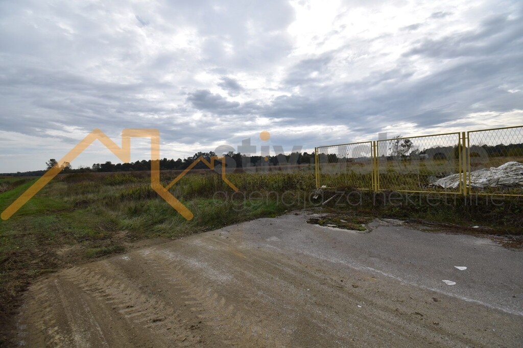 Image 6101502 - 1