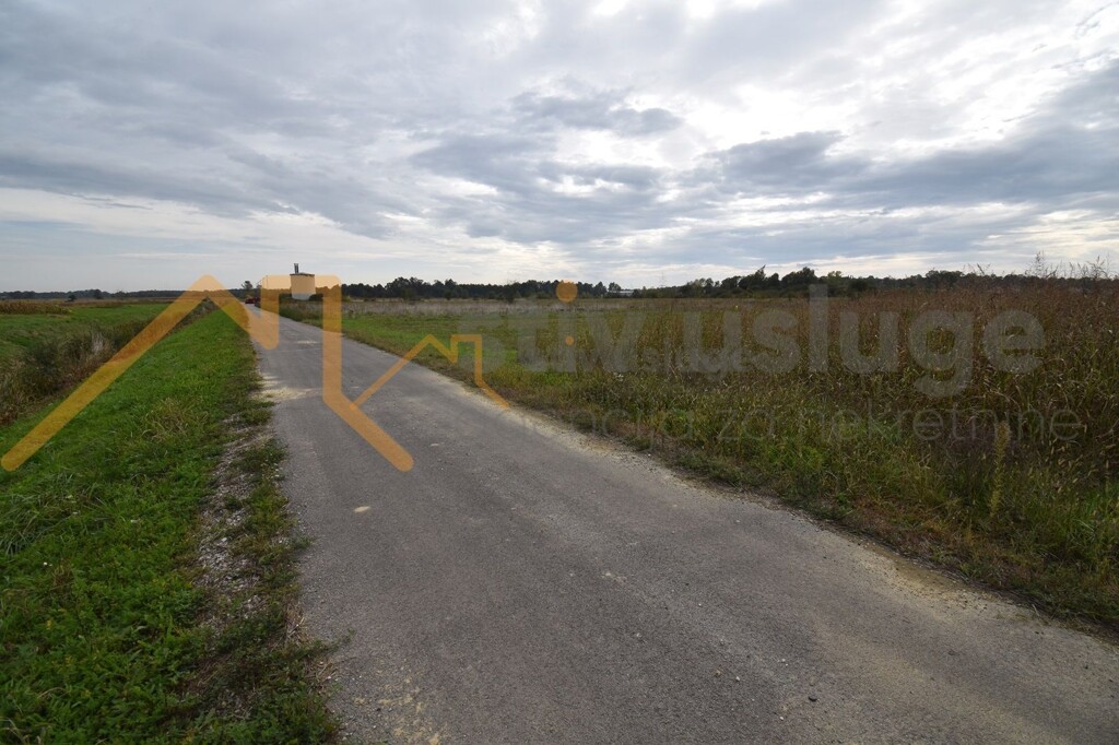 Image 6101503 - 1