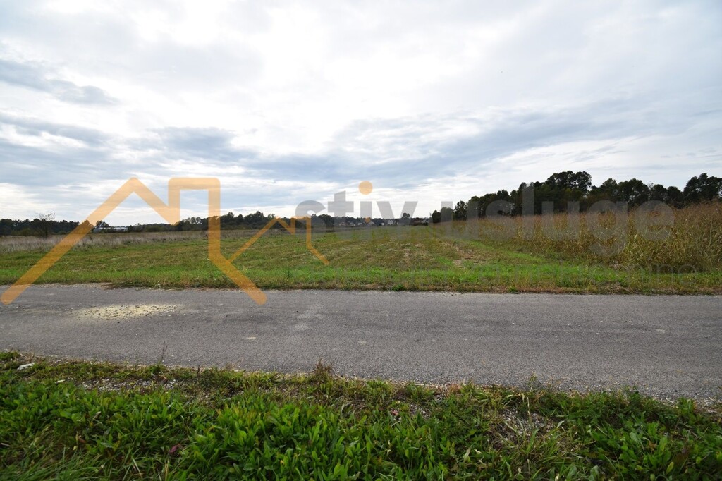 Image 6101503 - 3